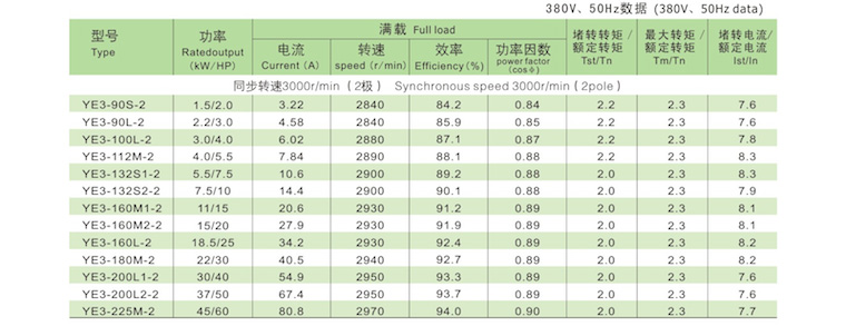 YE3電機技術數(shù)據(jù)1